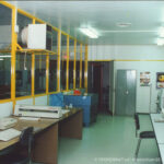 tipopennati-650240
